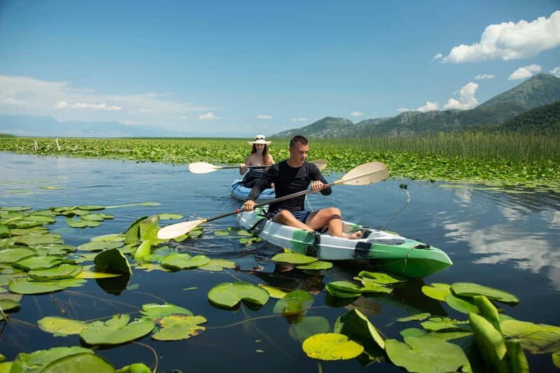 3h Guided Kayaking Adventure on Skadar Lake to hidden spots! - What to Expect on Your Skadar Lake Kayaking Tour
