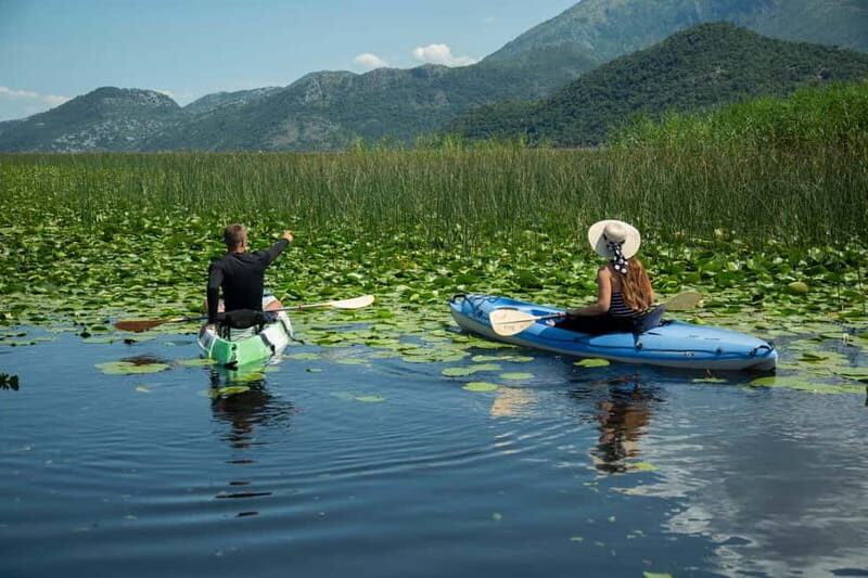 3h Guided Kayaking Adventure on Skadar Lake to hidden spots! - The Value of This Experience