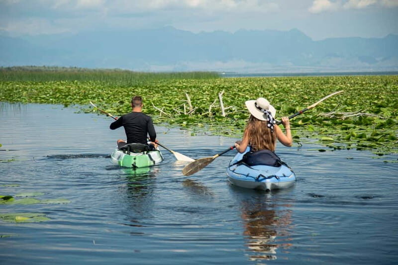 3h Guided Kayaking Adventure on Skadar Lake to hidden spots! - Final Thoughts