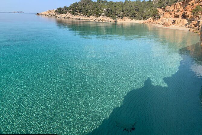 3h Private Cruise + Drinks, Snorkel & Paddle - Key Points