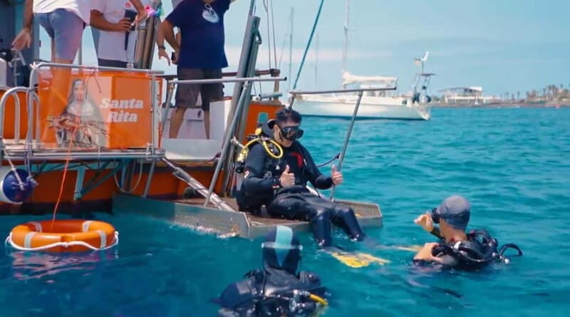 3H Shared Barrier-Free Cruise with Turtles Dolphins & Whales - What Makes This Cruise Special?