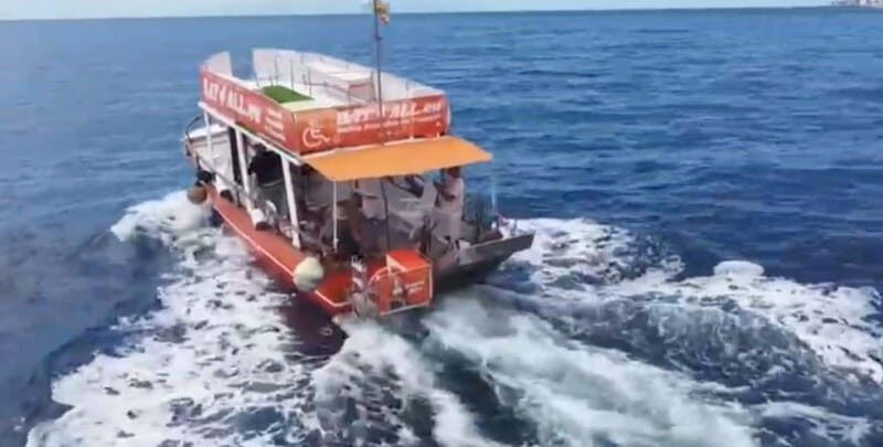 3H Shared Barrier-Free Cruise with Turtles Dolphins & Whales - Pricing and Value