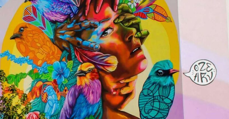 3h Street Art Tuk Tuk Tour Free Pickup - What Is This Tour Really About?