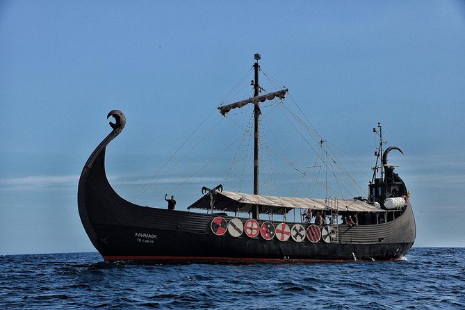 3h Viking Cruise with Drinks, Whales watching & Swimming Time - The Honest Considerations