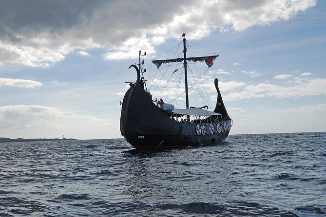 3h Viking Cruise with Drinks, Whales watching & Swimming Time - Frequently Asked Questions