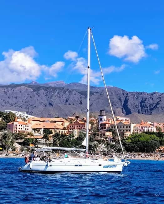 3h Whale Watching Share Tour Beneteau Oceanis 440 - Exploring the 3h Whale Watching Share Tour on the Beneteau Oceanis 440 in Tenerife