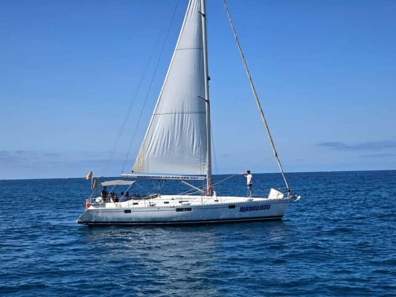3h Whale Watching Share Tour Beneteau Oceanis 440 - The Itinerary: Breaking Down the 3 Hours