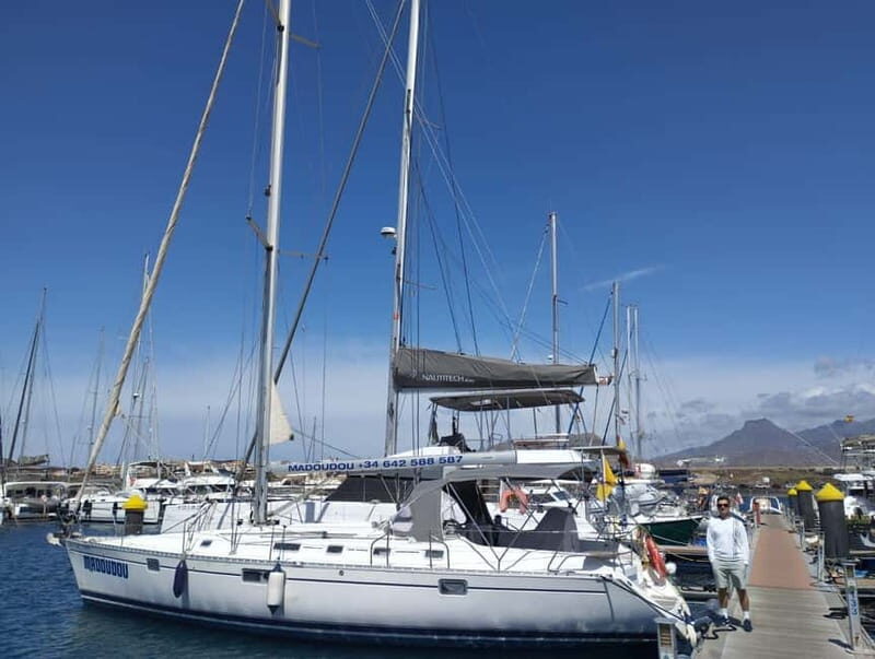 3h Whale Watching Share Tour Beneteau Oceanis 440 - What’s Included and What You Should Bring