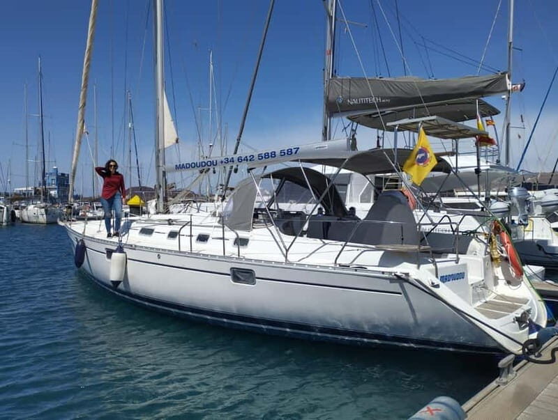 3h Whale Watching Share Tour Beneteau Oceanis 440 - FAQs