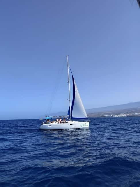 3h Whale watching Share Tour Costa Adeje Lina7 Mizendoha - Included Extras and Practical Details