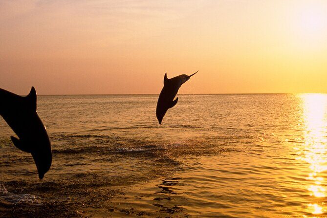 3hours all inclusive Sunset&Dolphin Tour from Medulin on Sandra - The Itinerary in Detail