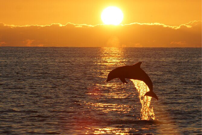 3hours all inclusive Sunset&Dolphin Tour from Medulin on Sandra - The Practical Details