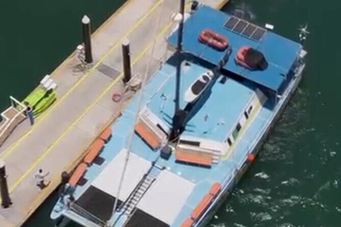 3hours Snorkel Catamaran in Los Cabos - Setting the Scene: What to Expect