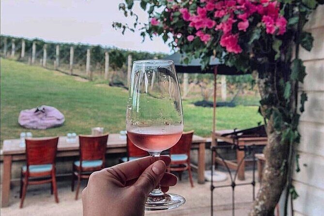 4.5-Hour Scenic Wine Tour with Private Guide & Up to 12 Tastings - A Closer Look at the Waiheke Island Wine Tour
