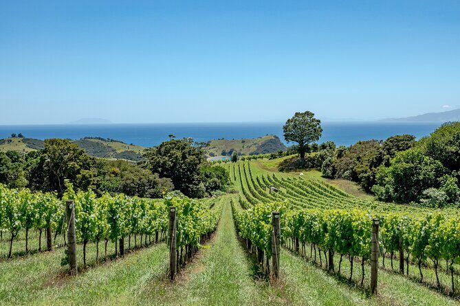 4.5-Hour Scenic Wine Tour with Private Guide & Up to 12 Tastings - Is This Tour Worth the Price?