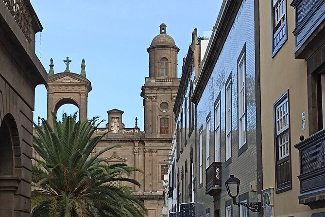 4.5 hours Private tour, the best and highlights of Gran Canaria. - What the Tour Covers: An In-Depth Look