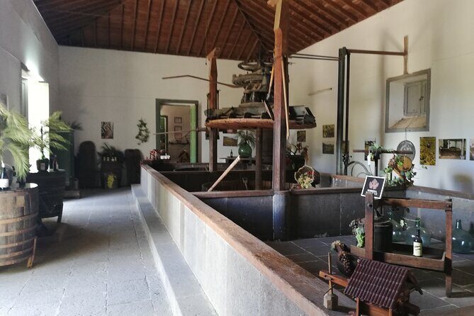 4.5 hours Private tour, the best and highlights of Gran Canaria. - Final Thoughts: Who Is This Tour Best For?