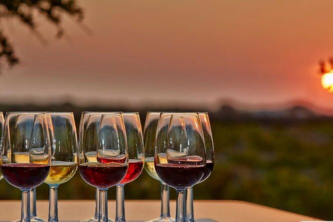 4.5 Hours Through the Grapevine Semi Private Wine Tour - Discovering the Heart of Santorini’s Wine Culture