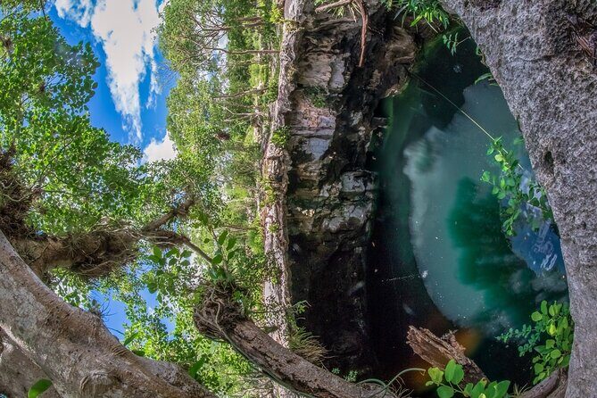 4 Cenotes Full Day Tour from Merida - What to Expect on the Tour