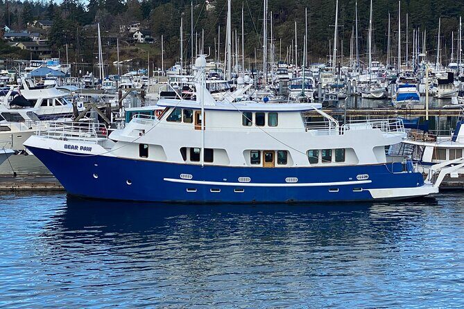 4 Course Dinner Luxury Yacht Dinner cruise out of Friday Harbor - A Closer Look at the 4 Course Dinner Luxury Yacht Cruise out of Friday Harbor