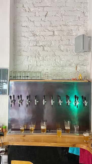 4 Craft Premium Beers Tasting with the Brewer - The Beers & The Brewing Process