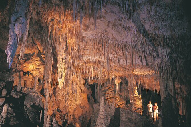 4 Day Albany Margaret River, Valley of the Giants Tour from Perth - Frequently Asked Questions