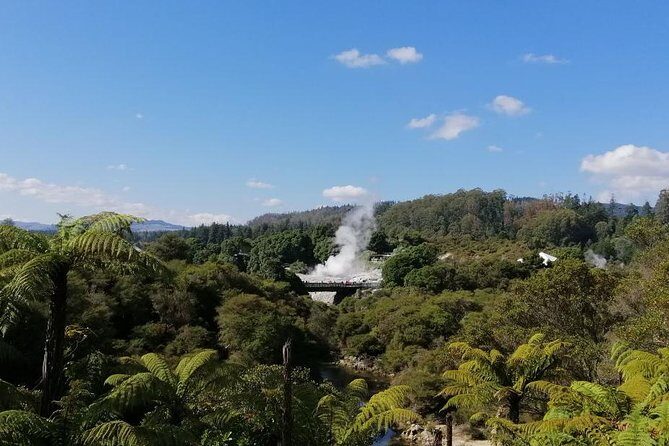 4-Day Auckland to Wellington via Rotorua Tour - An In-Depth Look at the Itinerary