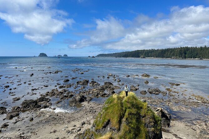 4-Day Olympic Backpacking Tour in North Coast - Practical Details and Final Thoughts