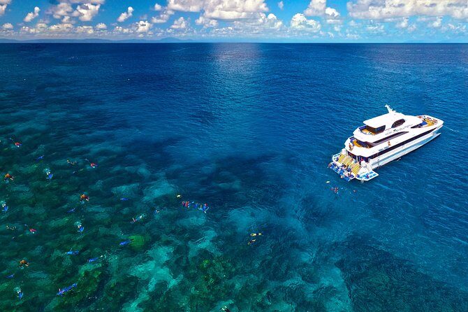 4-Day PADI Open Water Dive Course - Learn to Dive on the Great Barrier Reef - Who is This Tour Best Suited For?