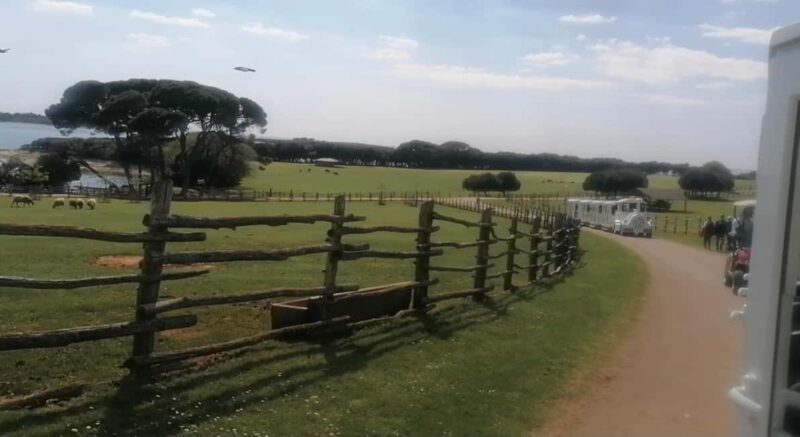 4 Day Private Istria Tour from Zagreb: Explore & Enjoy - Considering the Price