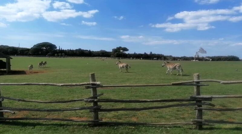 4 Day Private Istria Tour from Zagreb: Explore & Enjoy - Who Would Love This Tour?