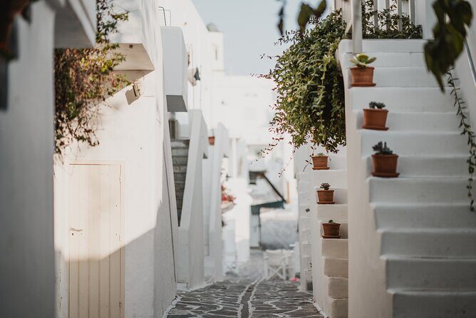 4 Day Private Tour to Paros, Mykonos, Santorini, - The Realistic Pros and Cons