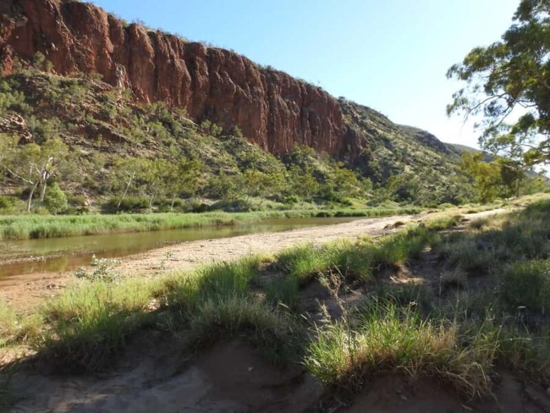 4-Day Tour of Uluru, Kings Canyon, and the West MacDonnell - Key Points