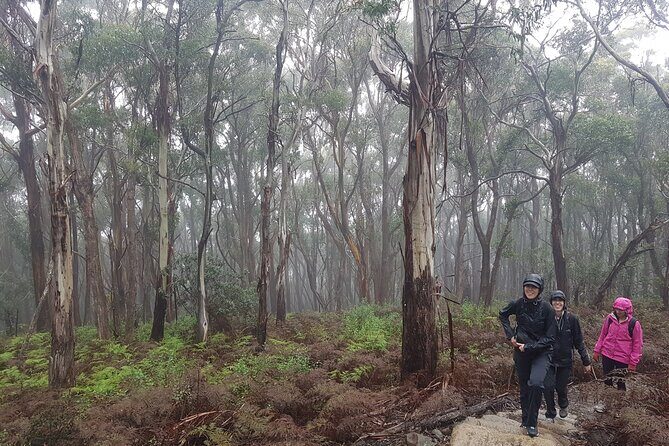 4 Day Wild Tasmania Tour / Wildlife, Nature, Hiking / Inc. Accom - FAQs