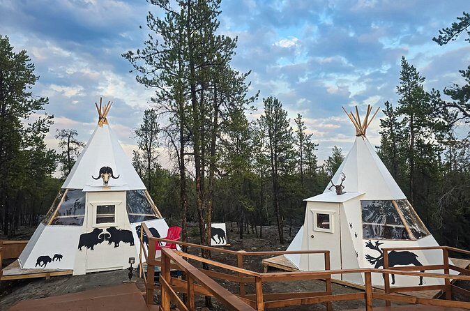 4 Days 3 Nights Yellowknife Aurora Hunting and Viewing Experience - Who Is This Tour Best For?