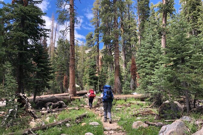4 Days Guided Yosemite Half Dome Tour - Final Word