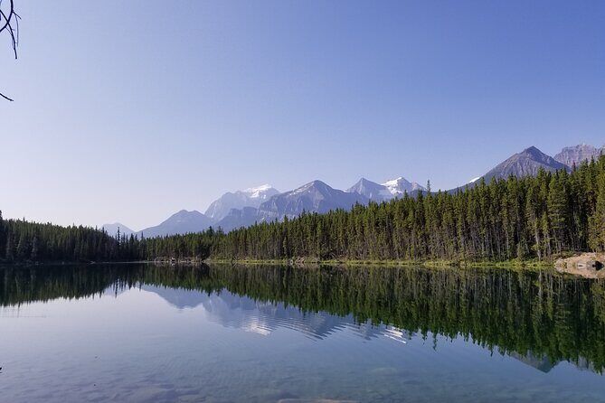 4 Days Private Tour to Banff and Jasper National Park - What Travelers Say and Why It Matters