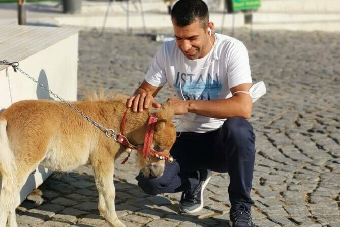 4-Day's Turkey Tour Cappadocia Ephesus and Pamukkale - Who Is This Tour Best For?