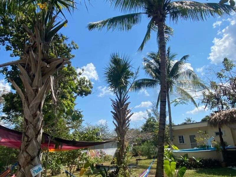 4 Days Yoga, Snorkel and Horseback Riding in Cozumel - What’s Included and What to Consider