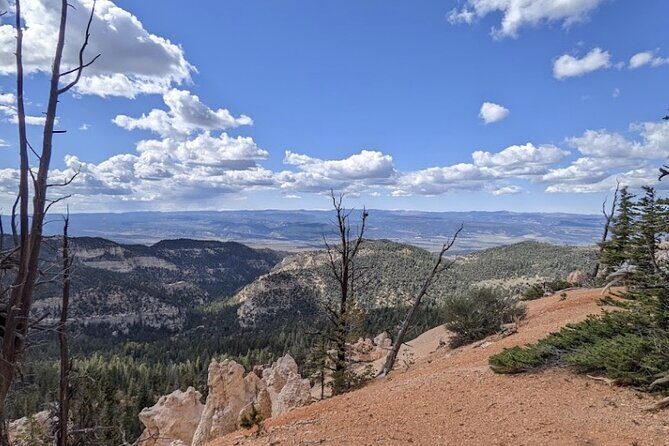 4-Hour, 5-seat ATV Rental next to Bryce National Park - Who Should Consider This Experience?