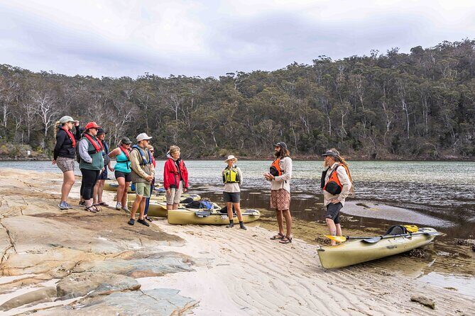 4 Hour Aboriginal Culture Tour Kayaking Pambula River - Key Points
