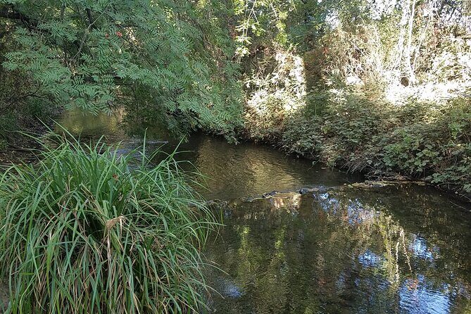 4 hour Bicycle Rental - Costs and Value