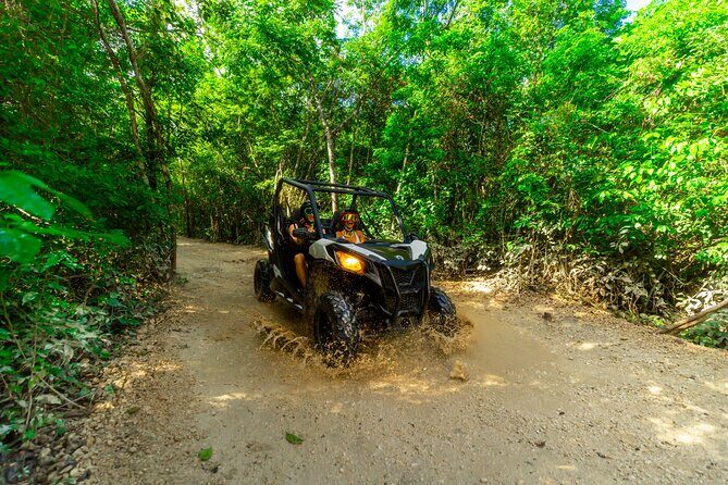 4-Hour Cancun Jungle Buggy Tour with Zipline Circuit & Cenote - What to Expect from This Adventure