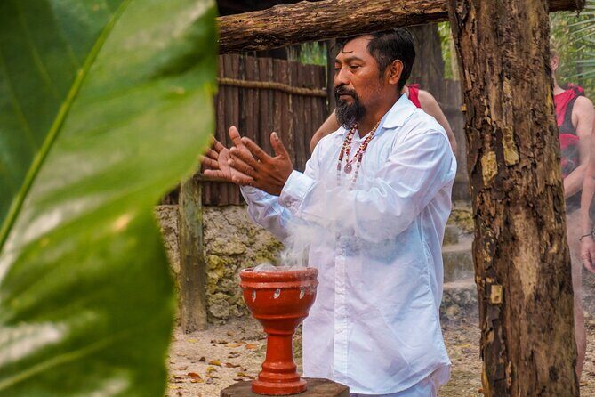 4-Hour Cenotes Tour with Hotel Pickup in Riviera Maya - What to Expect from the Tour