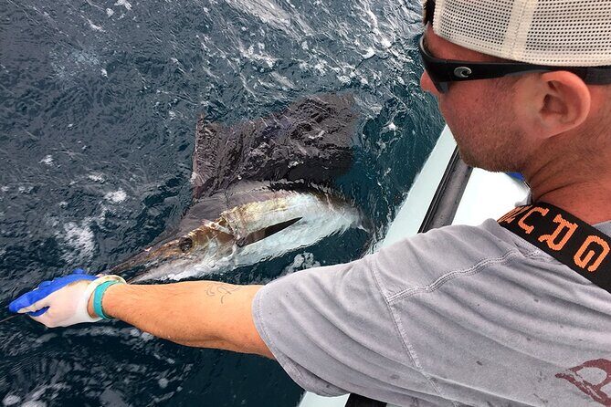 4 Hour Charter - Is This Tour Worth It?