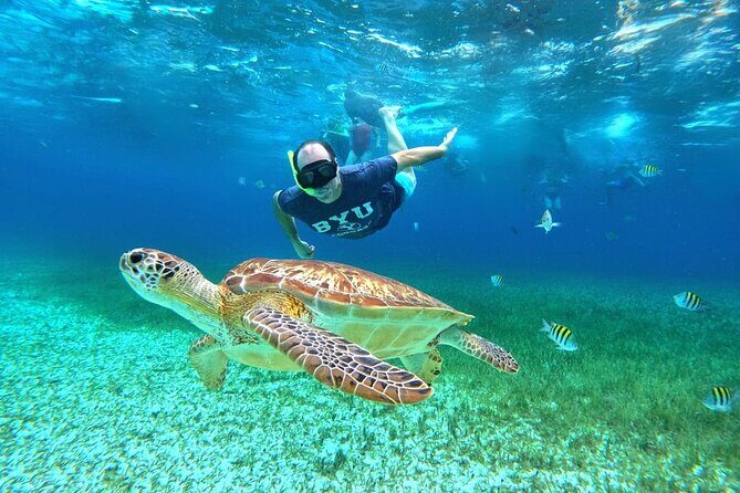 4 Hour Cozumel Turtle Sanctuary Experience on a Luxury Catamarán - What to Expect from the Tour
