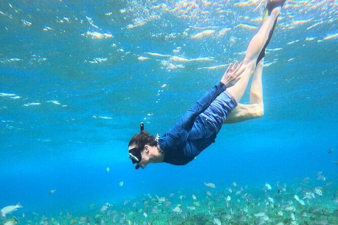 4 Hour Cozumel Turtle Sanctuary Experience on a Luxury Catamarán - Practical Tips and Considerations