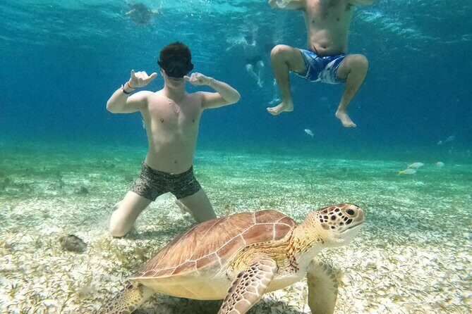 4 Hour Cozumel Turtle Sanctuary Experience on a Luxury Catamarán - Who Is This Tour Best For?