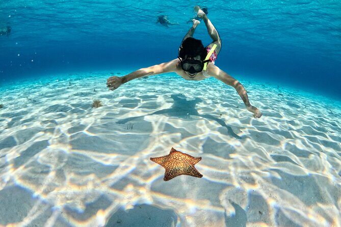 4 Hour Cozumel Turtle Sanctuary Experience on a Luxury Catamarán - FAQs