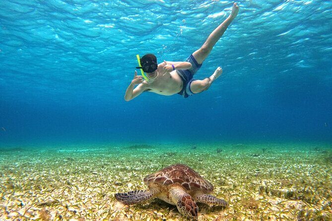 4 Hour Cozumel Turtle Sanctuary Experience on a Luxury Catamarán - Final Thoughts